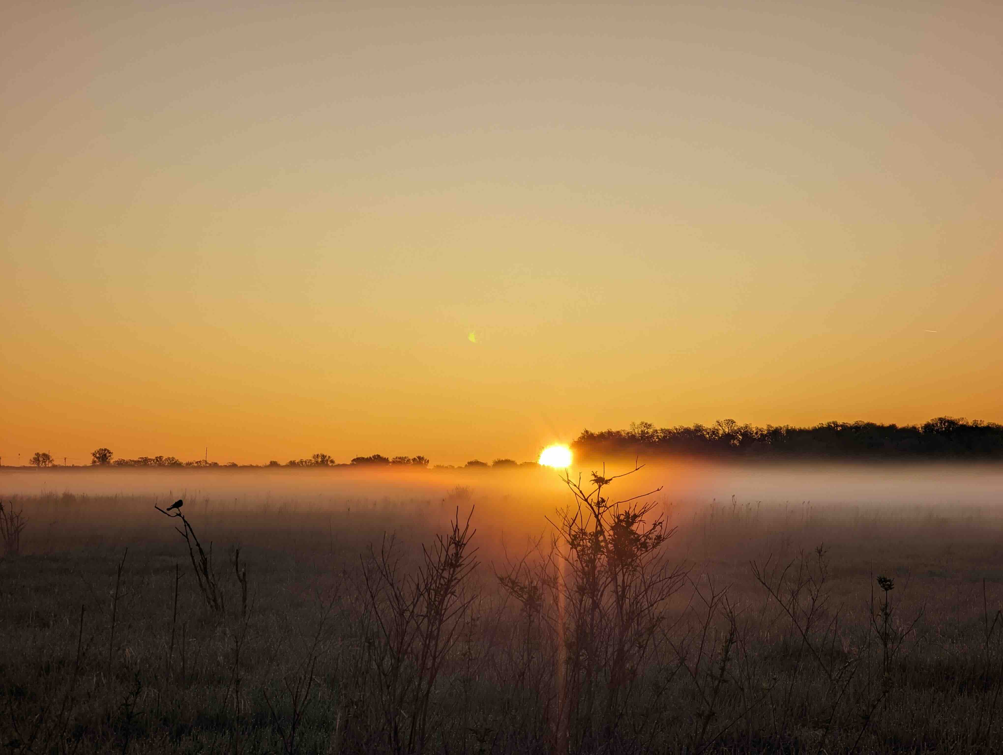 Finding Awe (and Exercise) Before the World Wakes Up