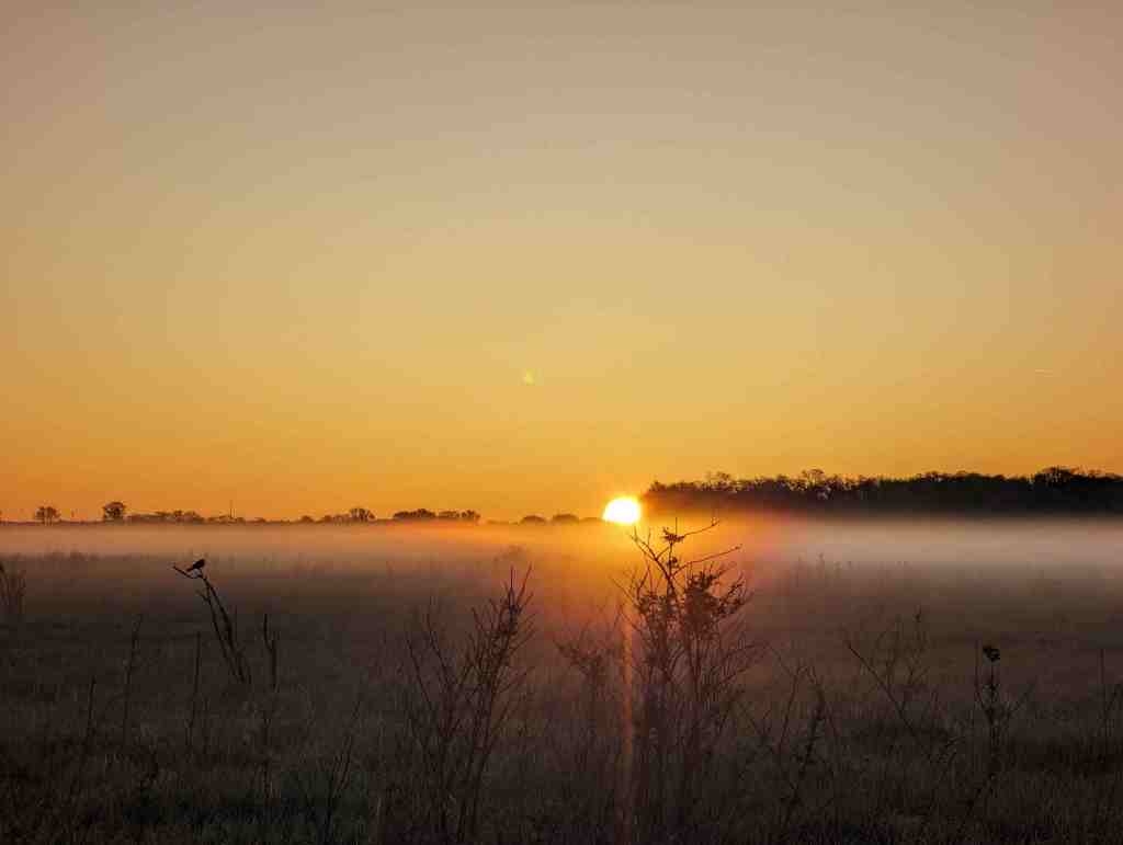 Finding Awe (and Exercise) Before the World Wakes&nbsp;Up